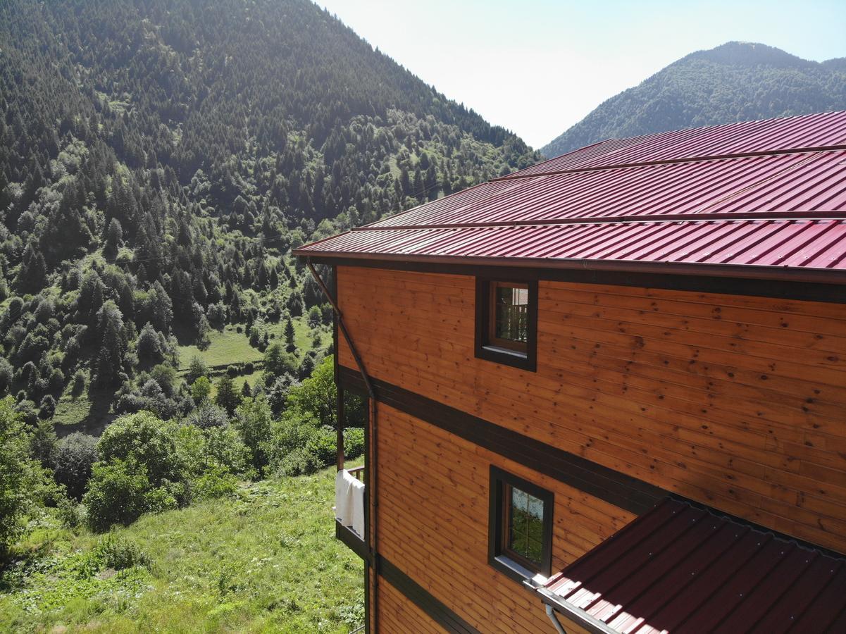 Badul Apart Aparthotel Uzungöl Εξωτερικό φωτογραφία